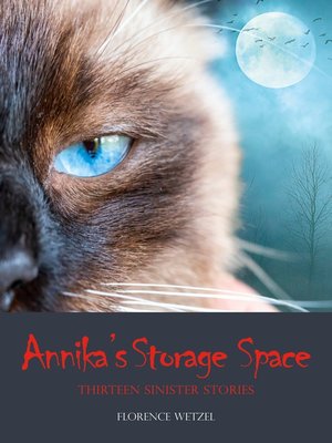 cover image of Annika's Storage Space
